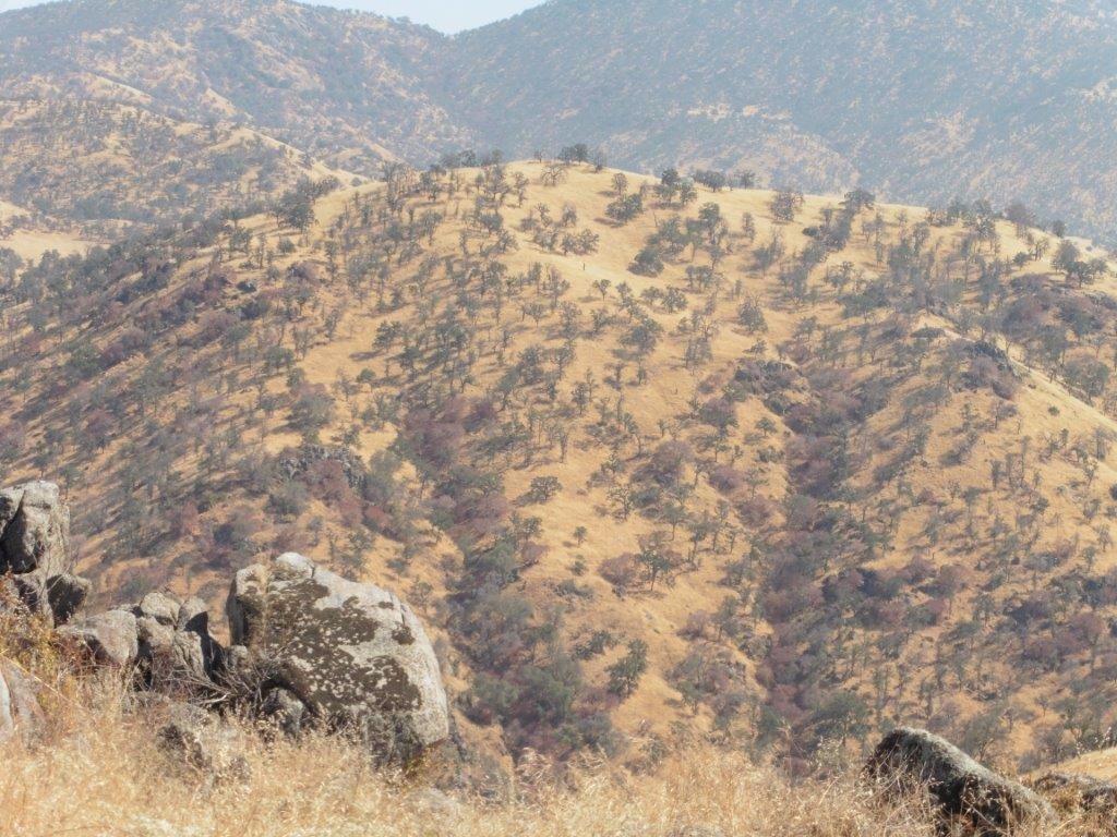 35383 George Smith Road Squaw Valley, CA 93675 - Photo 2 of 22 Gallery Image 2