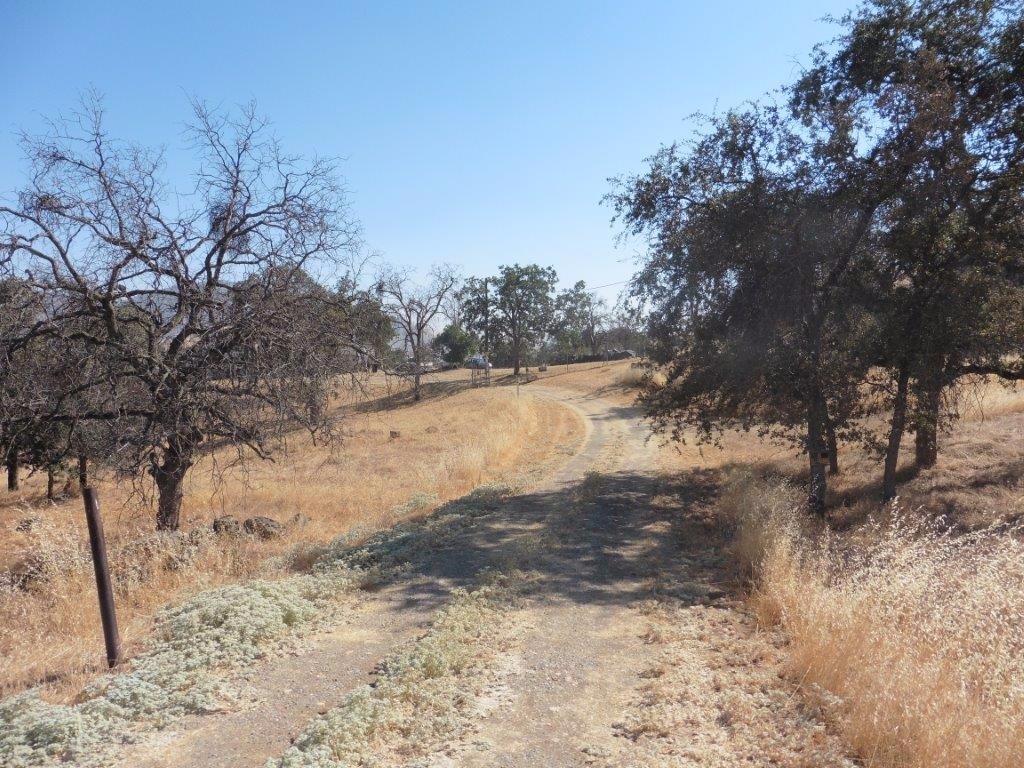 35383 George Smith Road Squaw Valley, CA 93675 - Photo 21 of 22 Gallery Image 21