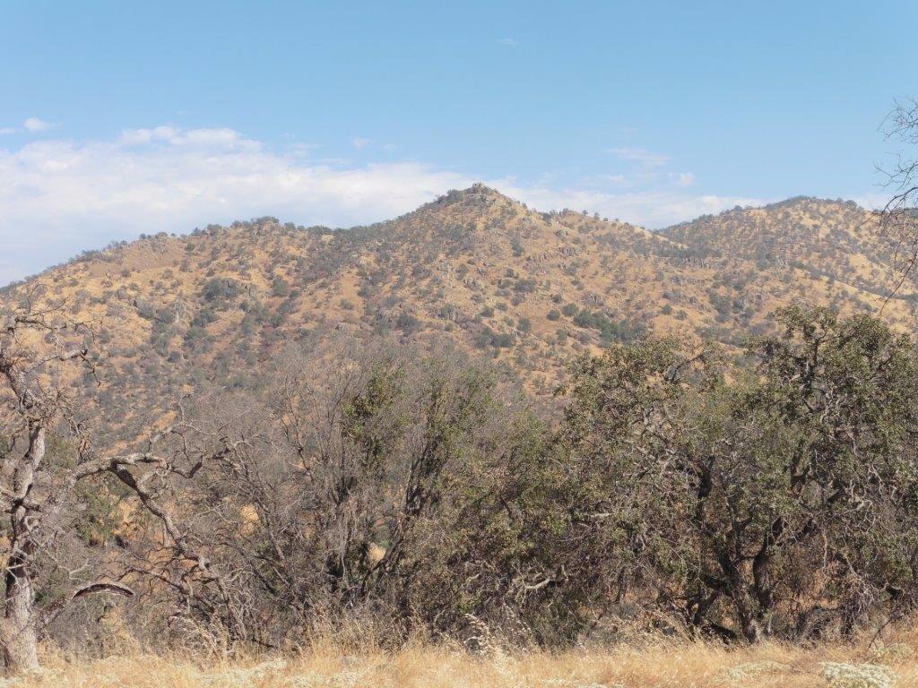 35383 George Smith Road Squaw Valley, CA 93675 - Photo 4 of 22 Gallery Image 4