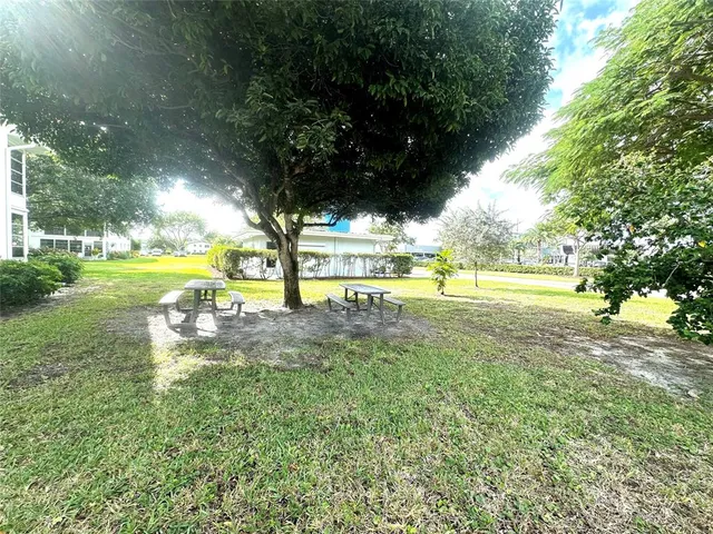 a huge green field with lots of trees