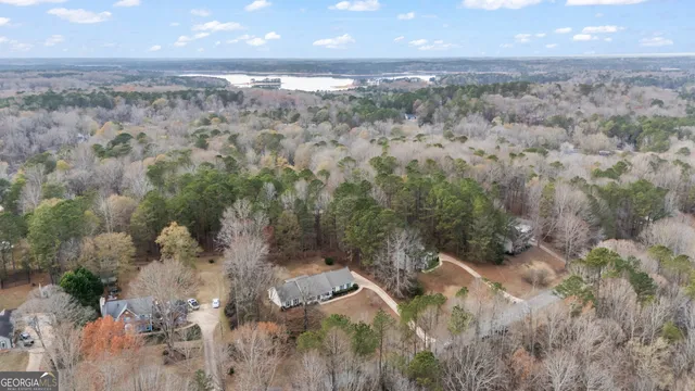 a view of a forest with a forest