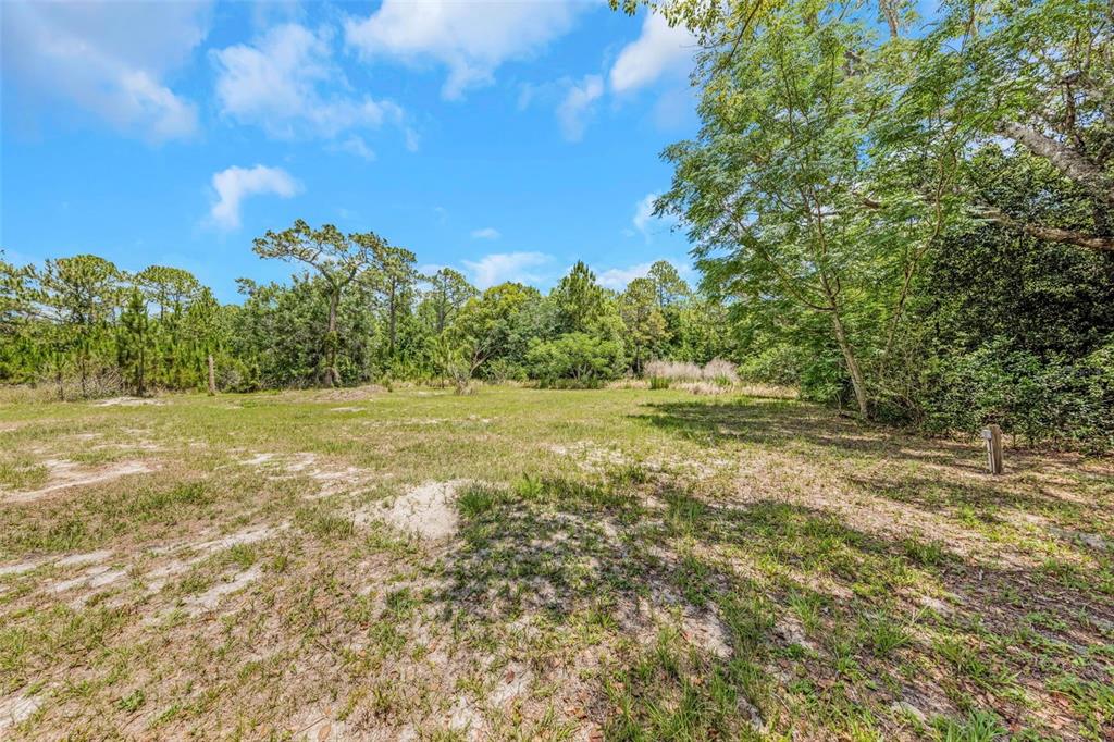 9224 Elza Street New Port Richey, FL 34654 - Photo 5 of 32