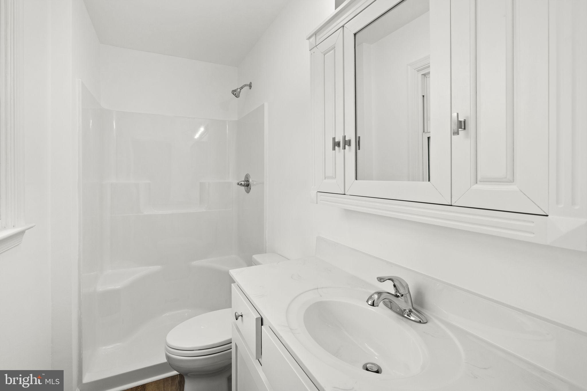 12157 Octonia Road Orange, VA 22960 - Photo 26 of 45 Sleek and modern bathroom retreat.