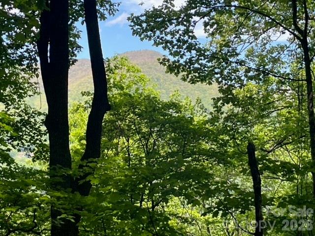 0 Soco Road Maggie Valley, NC 28751 - Photo 9 of 26