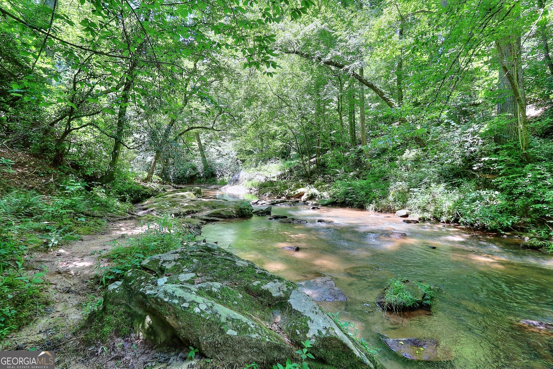95 Cedar Hollow Road Cleveland, GA 30528 - Photo 42 of 54 a view of yard with green space
