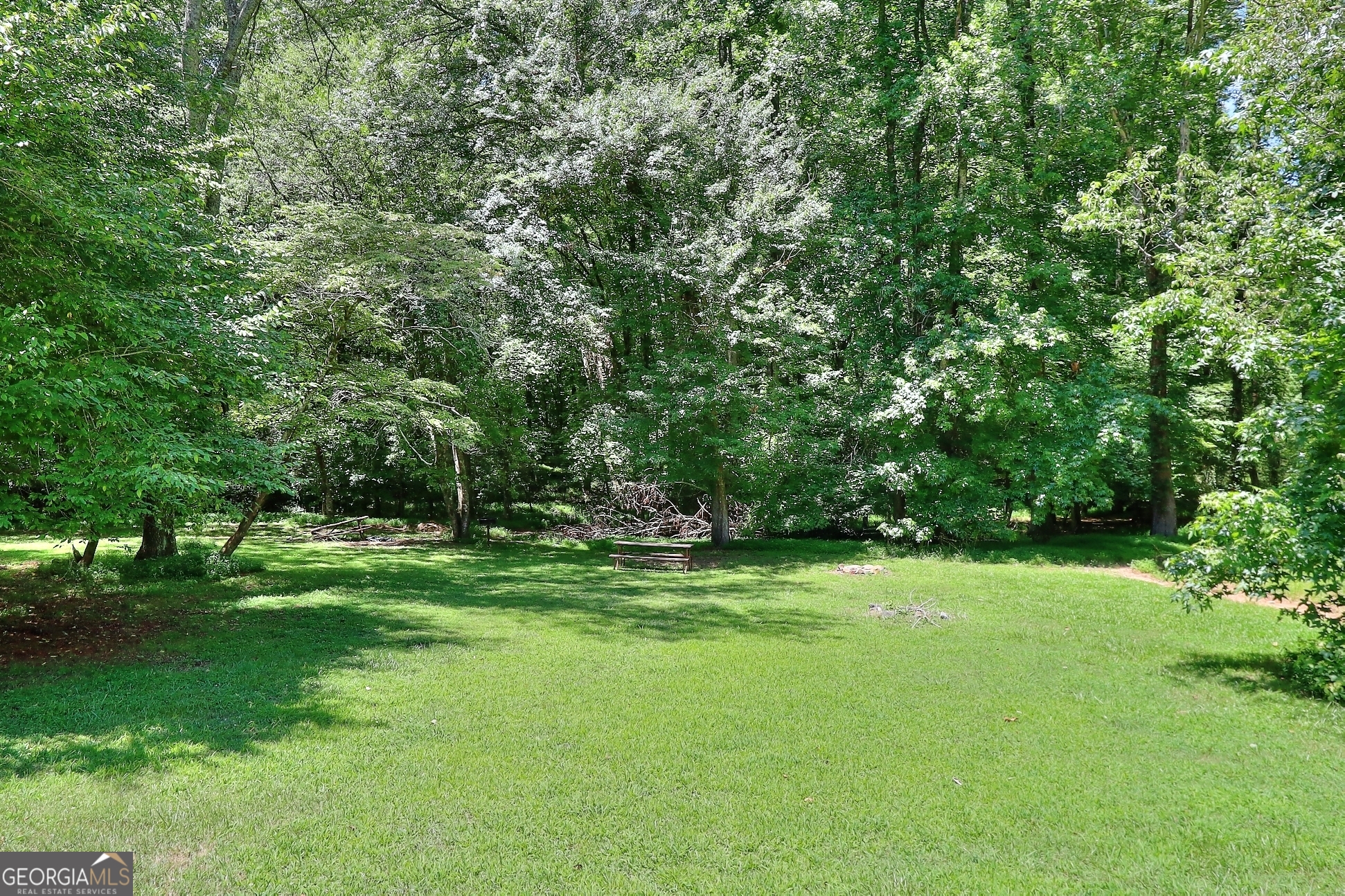 95 Cedar Hollow Road Cleveland, GA 30528 - Photo 43 of 54 a view of green field with trees in the background