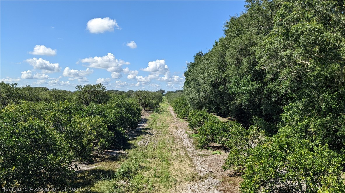 Colin Road Zolfo Springs, FL 33890 - Photo 1 of 28 Gallery Image 1