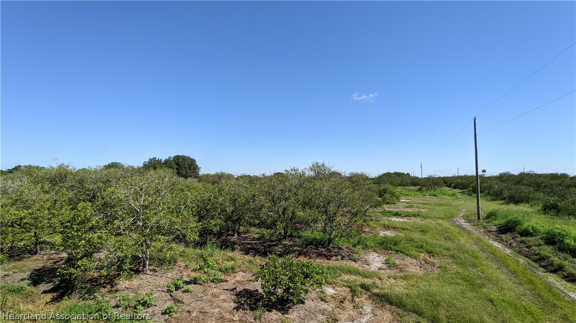 Colin Road Zolfo Springs, FL 33890 - Photo 11 of 28 Gallery Image 11