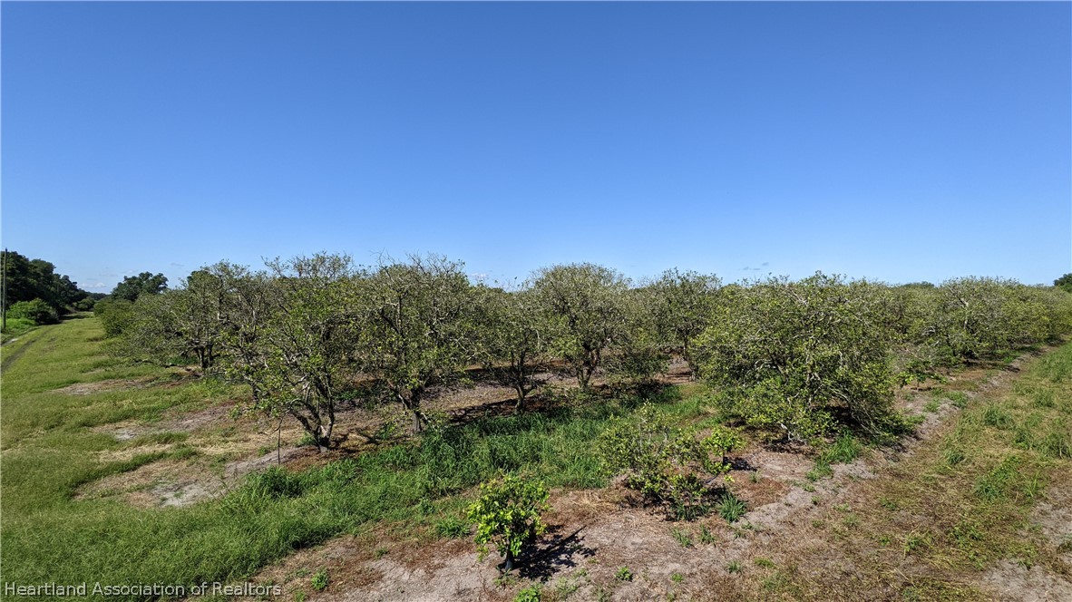 Colin Road Zolfo Springs, FL 33890 - Photo 12 of 28 Gallery Image 12