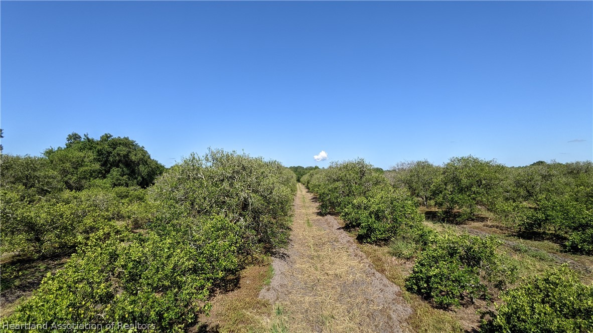 Colin Road Zolfo Springs, FL 33890 - Photo 13 of 28 Gallery Image 13