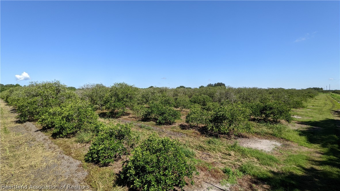 Colin Road Zolfo Springs, FL 33890 - Photo 15 of 28 Gallery Image 15