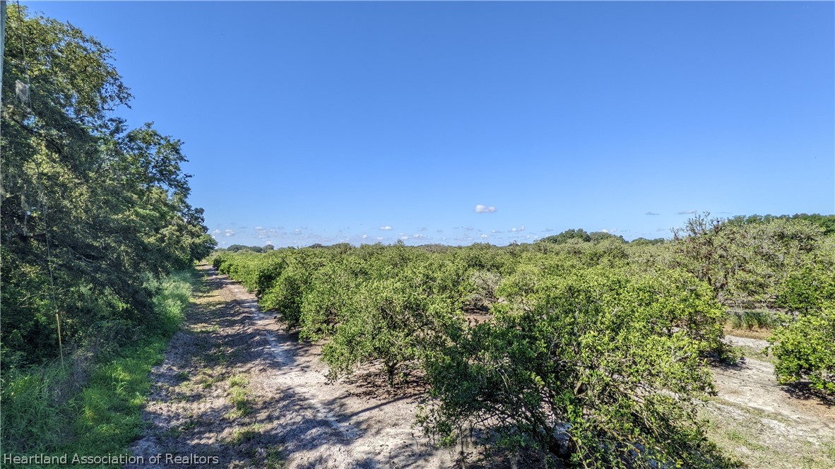 Colin Road Zolfo Springs, FL 33890 - Photo 16 of 28 Gallery Image 16