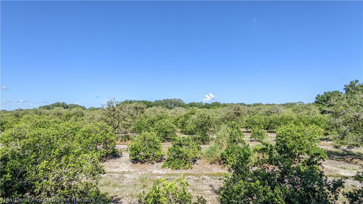 Colin Road Zolfo Springs, FL 33890 - Photo 17 of 28 Gallery Image 17