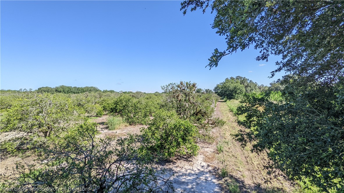 Colin Road Zolfo Springs, FL 33890 - Photo 19 of 28 Gallery Image 19