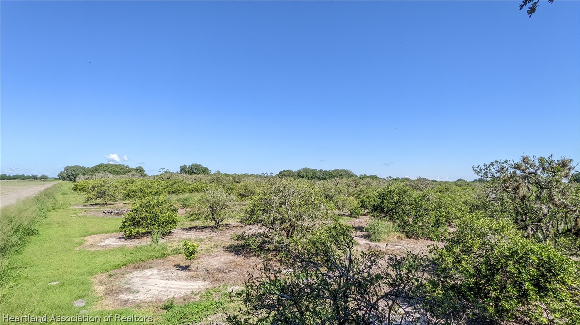 Colin Road Zolfo Springs, FL 33890 - Photo 20 of 28 Gallery Image 20