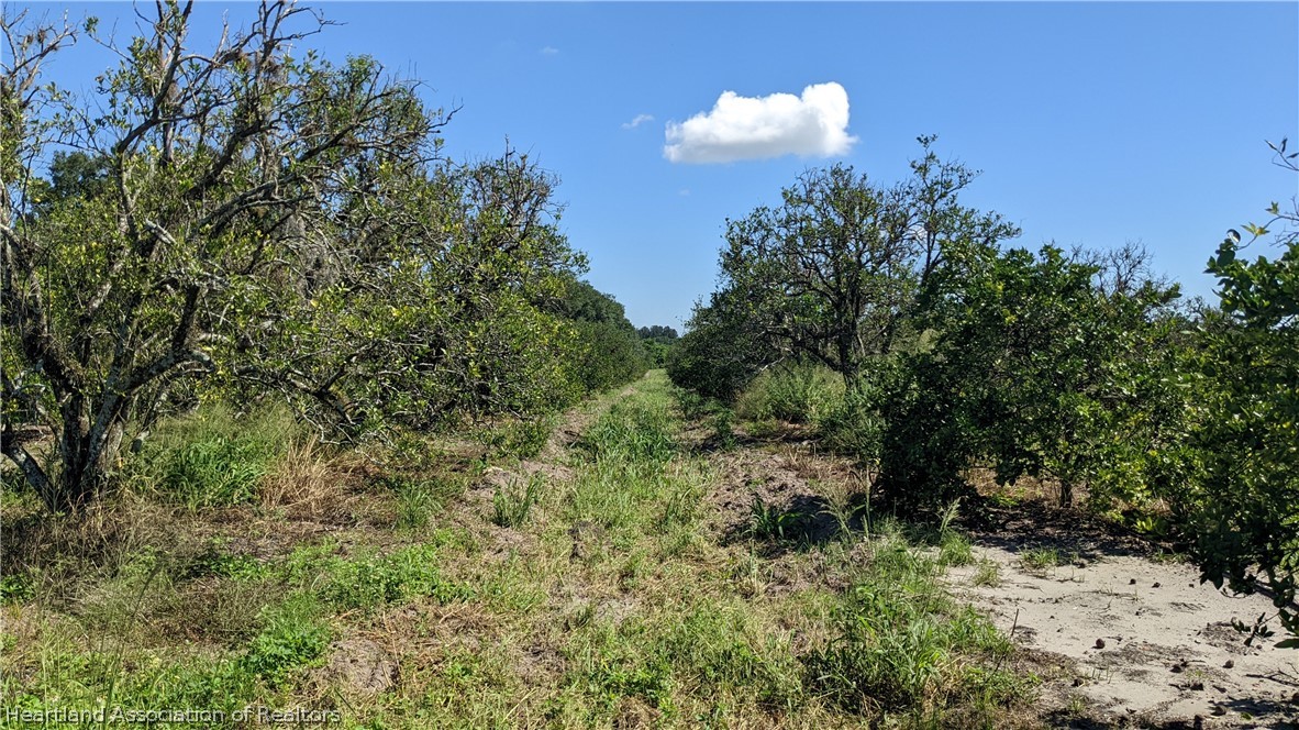 Colin Road Zolfo Springs, FL 33890 - Photo 23 of 28 Gallery Image 23