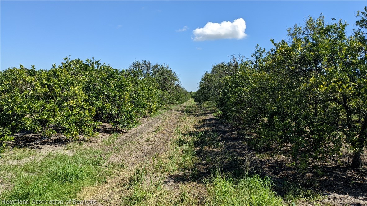 Colin Road Zolfo Springs, FL 33890 - Photo 24 of 28 Gallery Image 24
