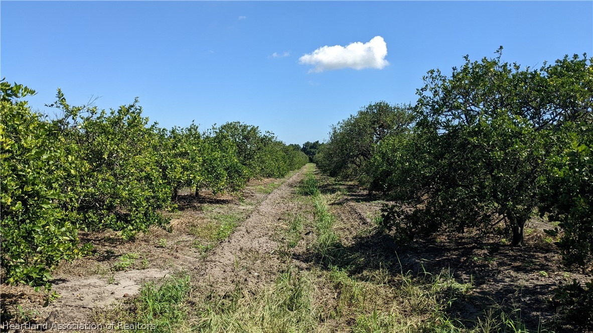 Colin Road Zolfo Springs, FL 33890 - Photo 25 of 28 Gallery Image 25