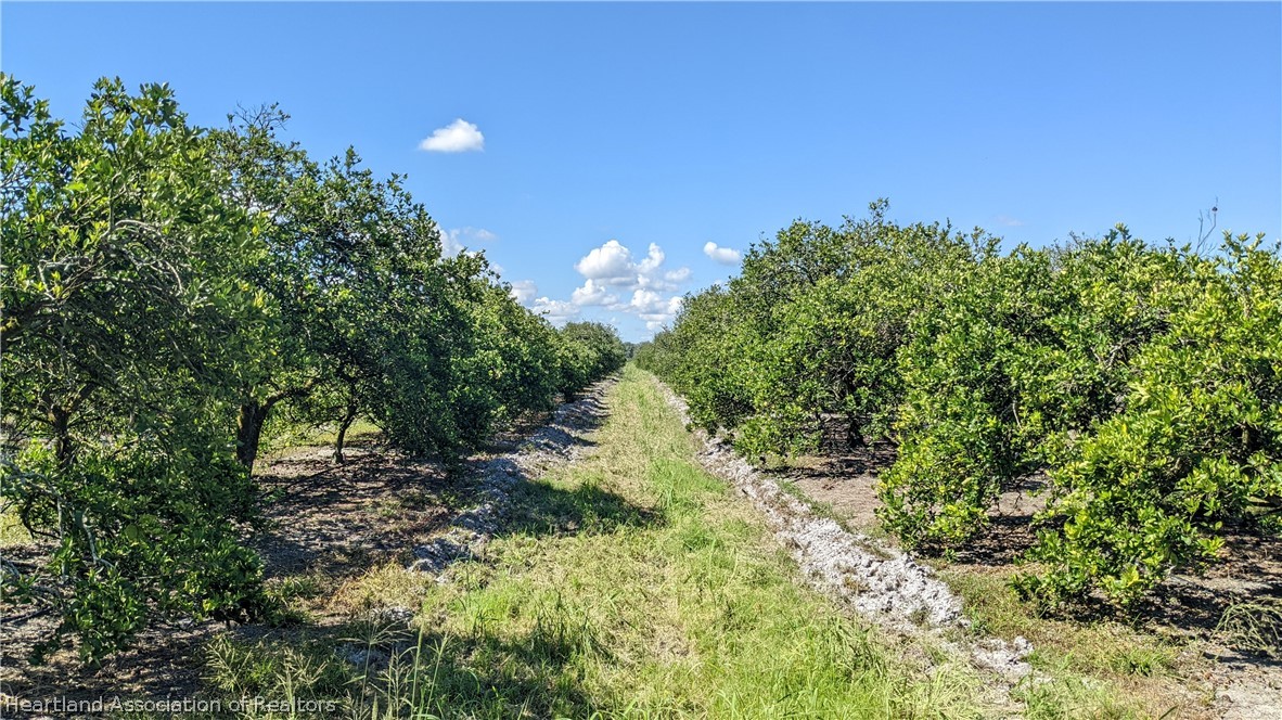 Colin Road Zolfo Springs, FL 33890 - Photo 26 of 28 Gallery Image 26