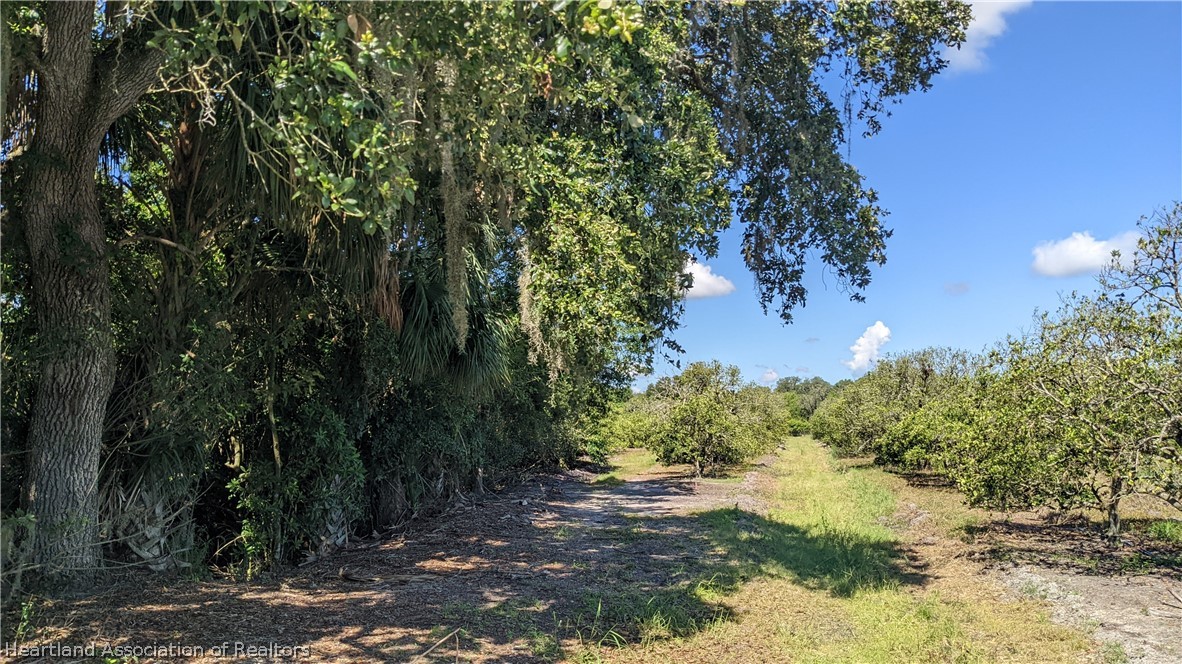 Colin Road Zolfo Springs, FL 33890 - Photo 27 of 28 Gallery Image 27