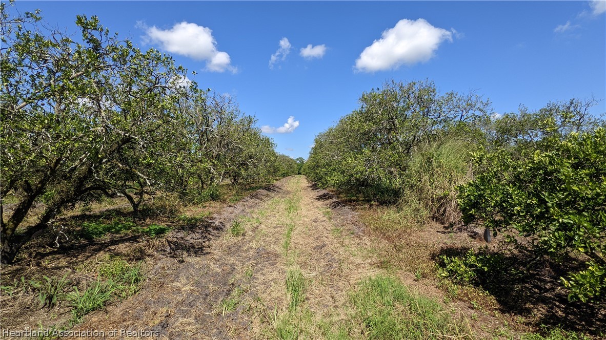 Colin Road Zolfo Springs, FL 33890 - Photo 28 of 28 Gallery Image 28