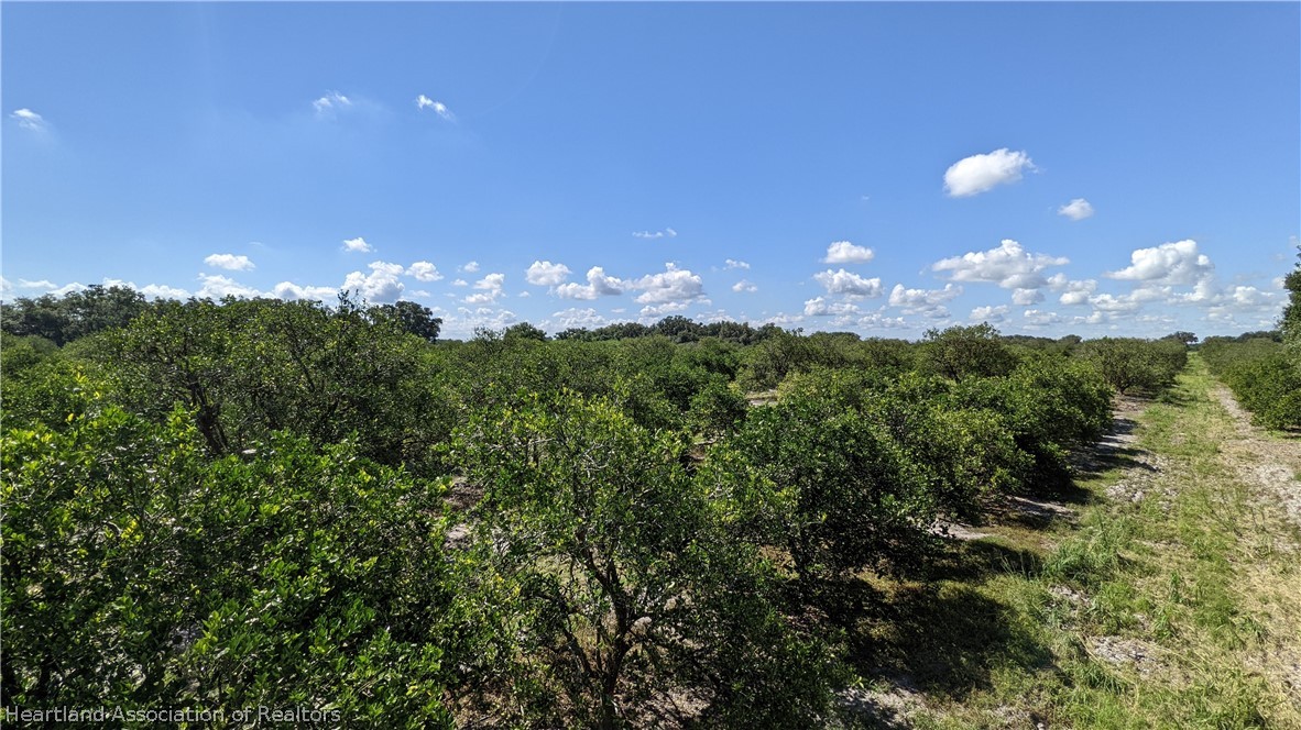 Colin Road Zolfo Springs, FL 33890 - Photo 4 of 28 Gallery Image 4