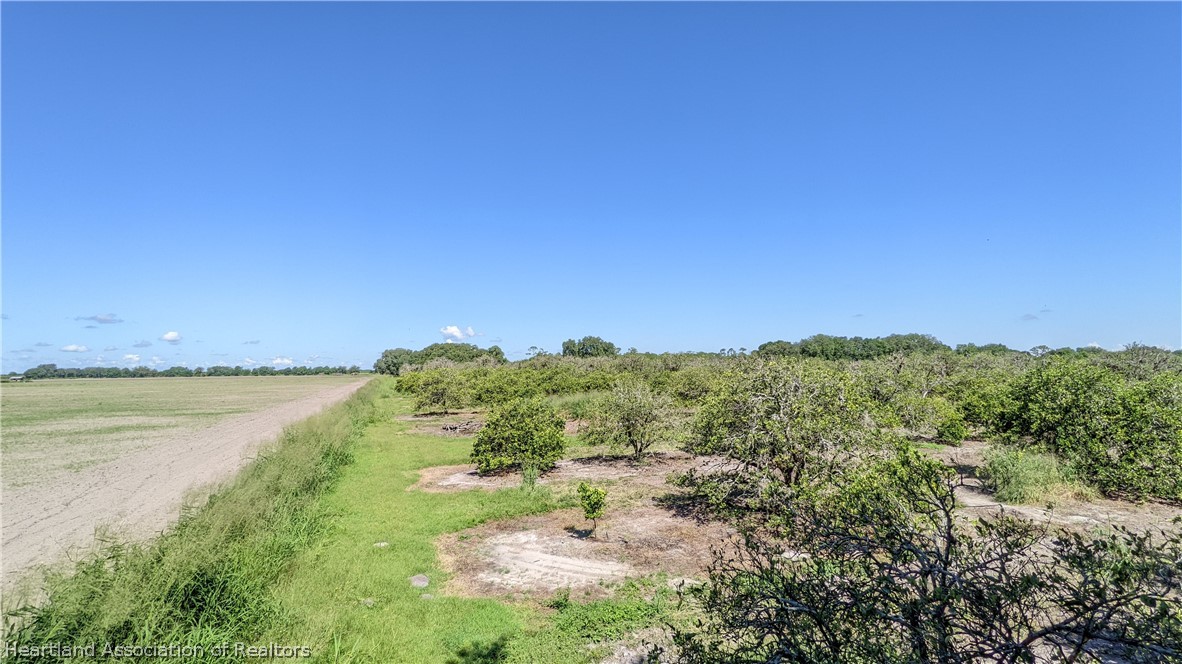 Colin Road Zolfo Springs, FL 33890 - Photo 5 of 28 Gallery Image 5