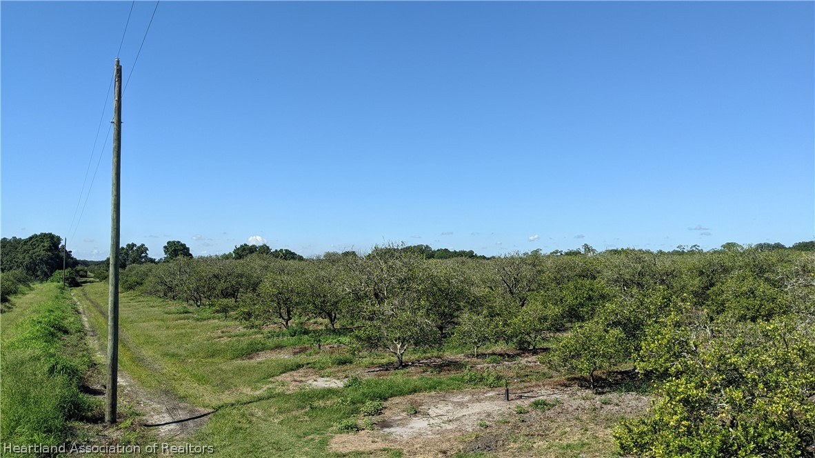 Colin Road Zolfo Springs, FL 33890 - Photo 6 of 28 Gallery Image 6