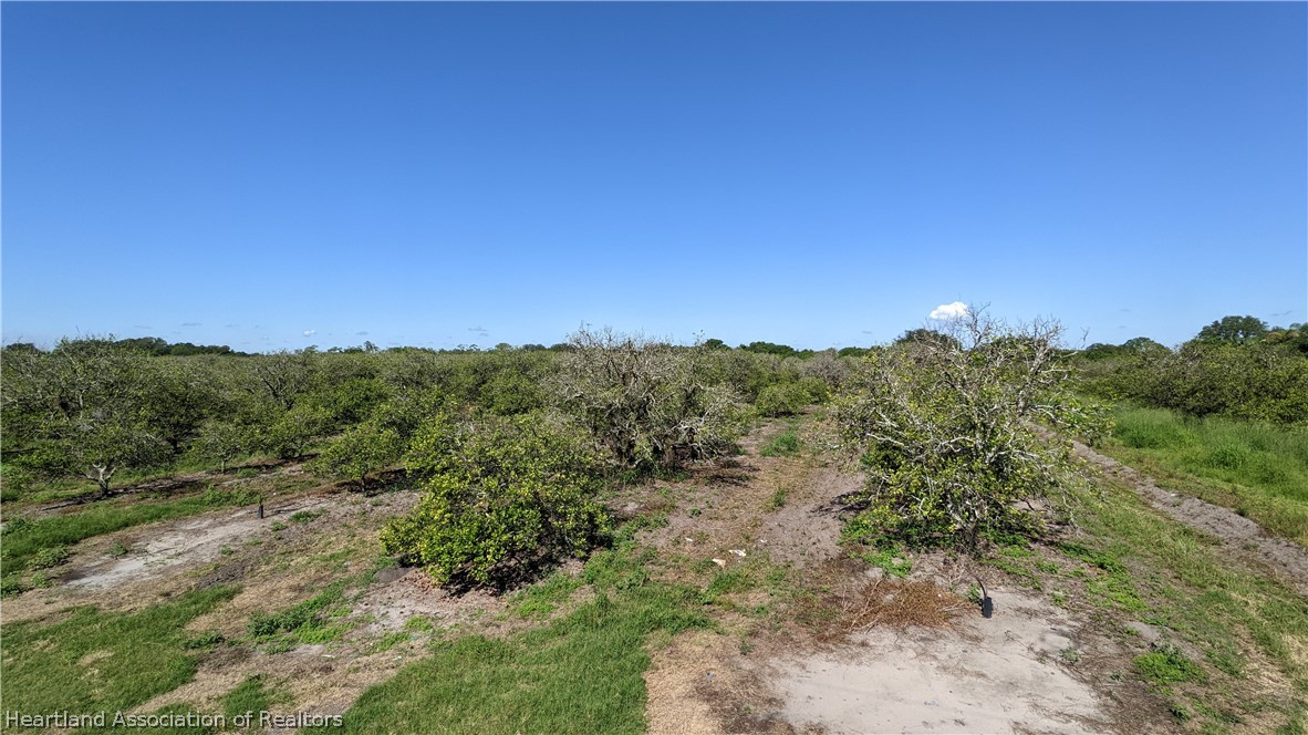 Colin Road Zolfo Springs, FL 33890 - Photo 7 of 28 Gallery Image 7