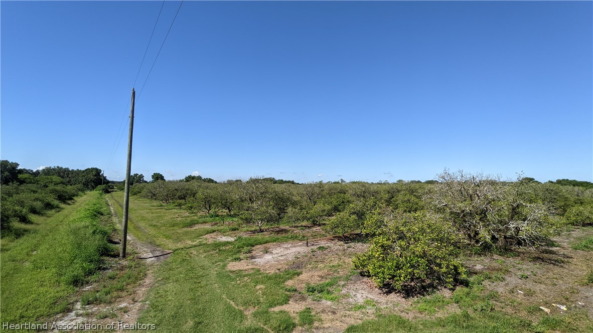 Colin Road Zolfo Springs, FL 33890 - Photo 8 of 28 Gallery Image 8