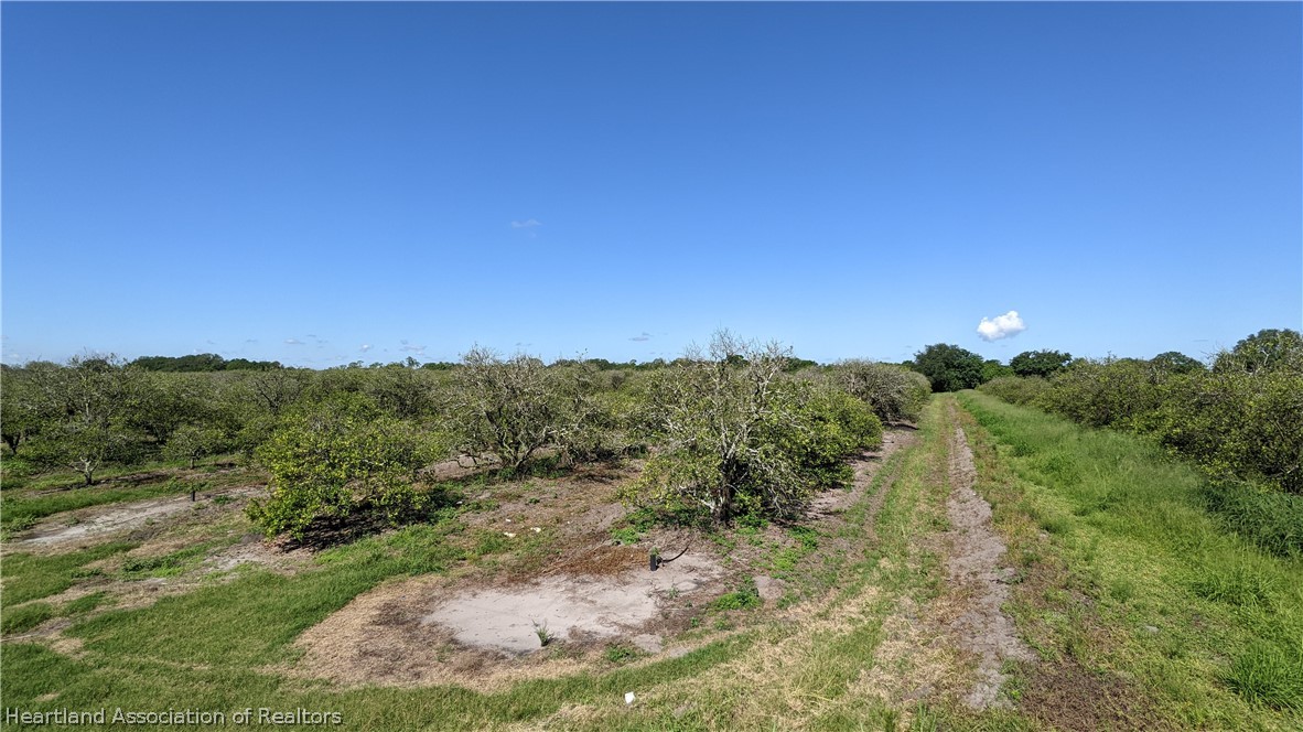 Colin Road Zolfo Springs, FL 33890 - Photo 9 of 28 Gallery Image 9