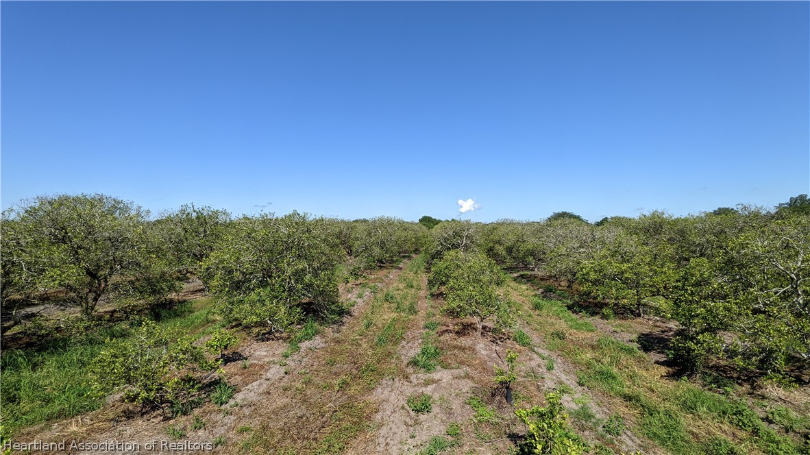 Colin Road Zolfo Springs, FL 33890 - Photo 10 of 28 Gallery Image 10