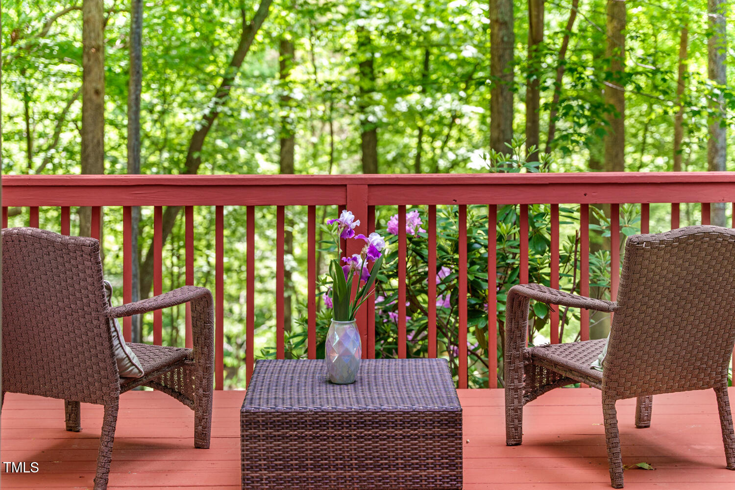 412 Bowen Road Rougemont, NC 27572 - Photo 11 of 40 Primary Bedroom deck
