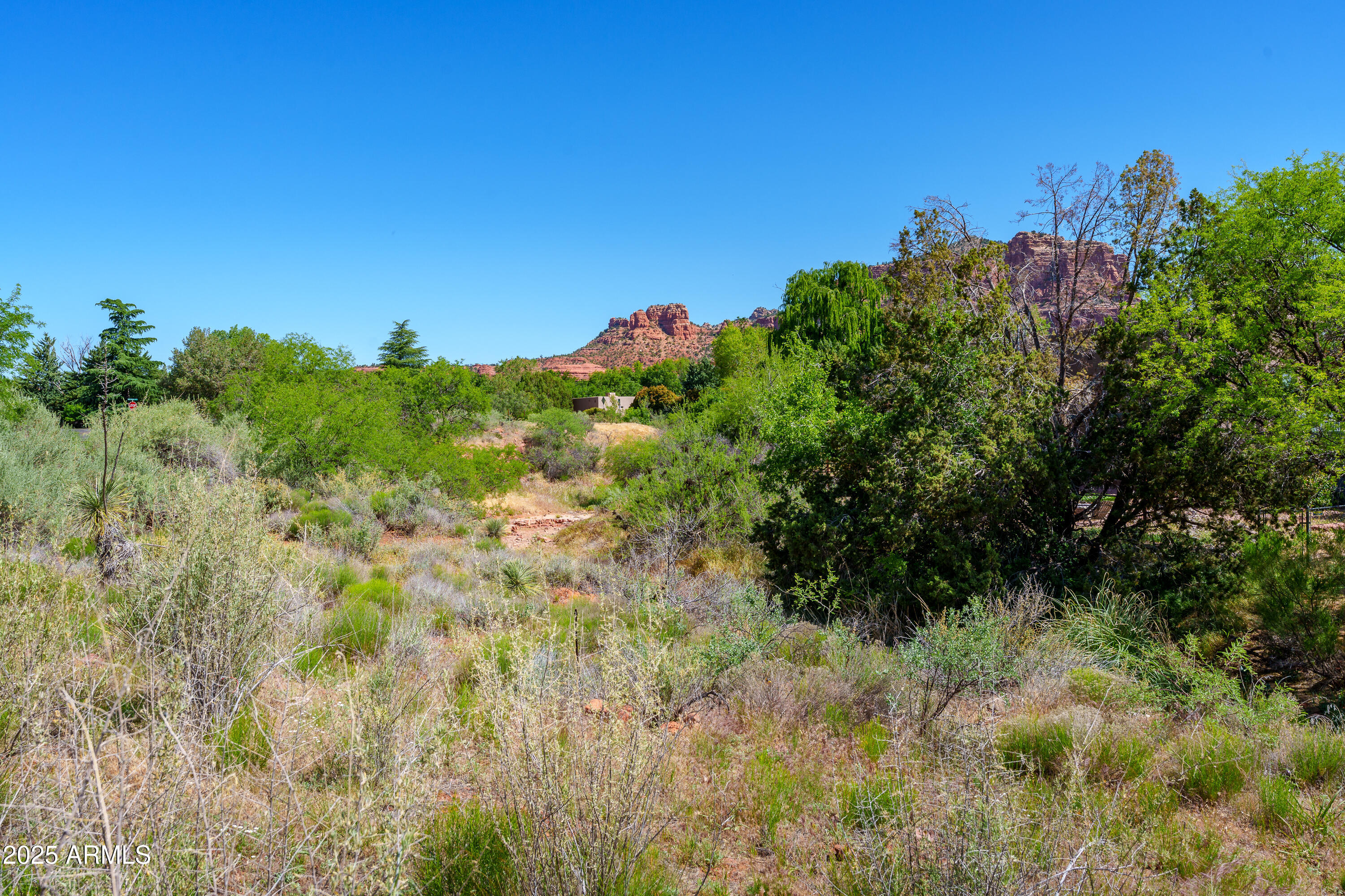 105 East Saddlehorn Road, Unit 161 Sedona, AZ 86351 - Photo 29 of 33 a view of a bunch of trees and bushes
