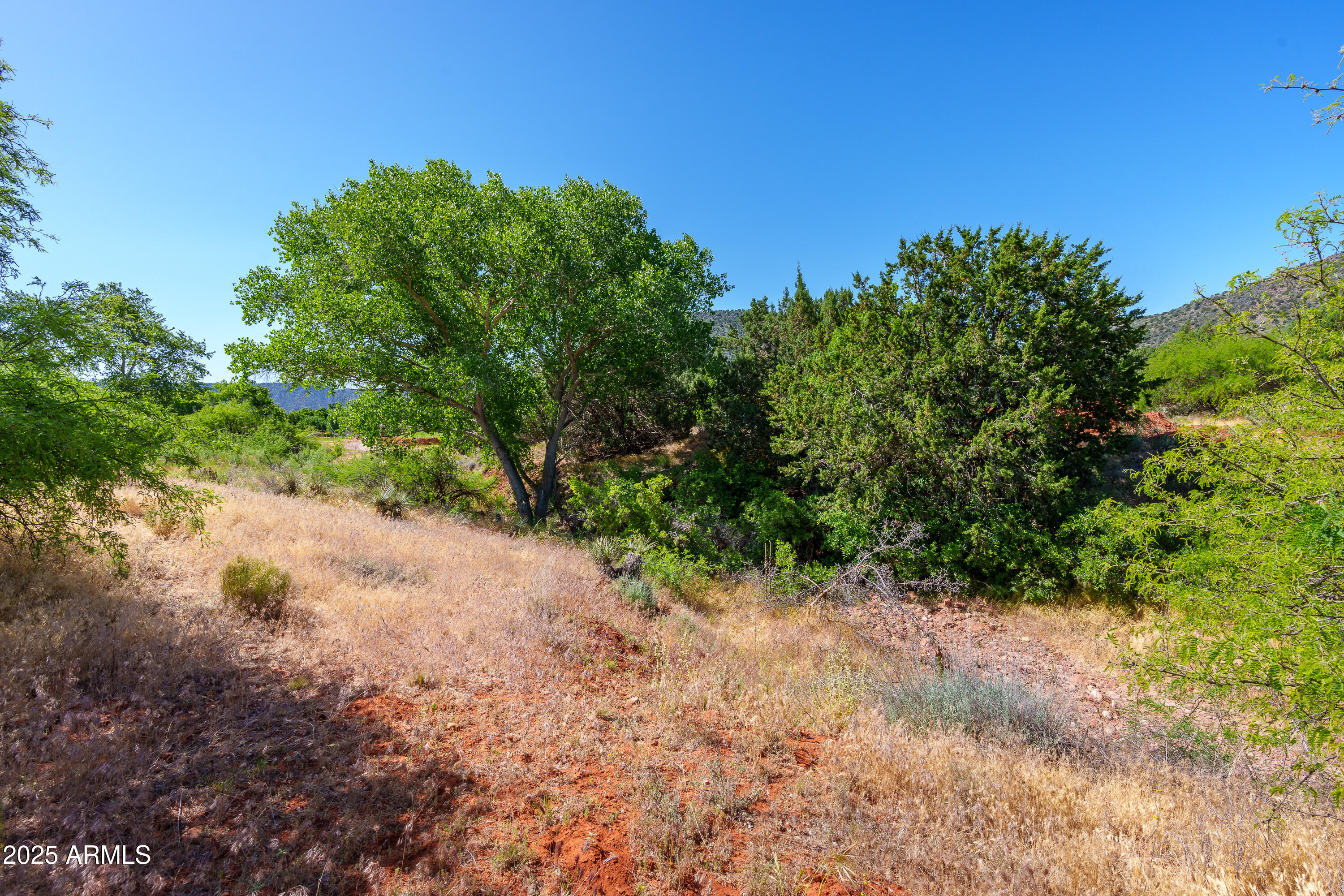 105 East Saddlehorn Road, Unit 161 Sedona, AZ 86351 - Photo 30 of 33 a view of a large yard with lots of green space