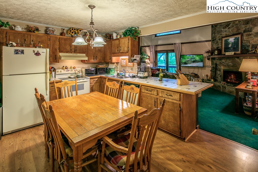 219 Spring Branch Road Beech Mountain, NC 28604 - Photo 5 of 32 Gallery Image 5