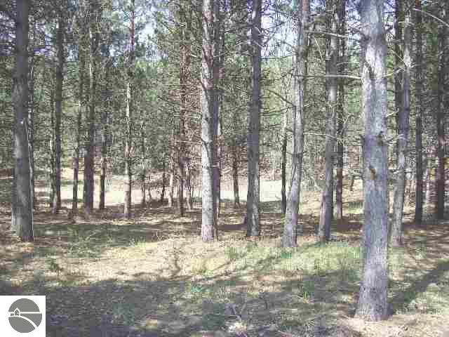 8104 East 8 Mile Road Luther, MI 49656 - Photo 7 of 8 1691852-6.JPG
