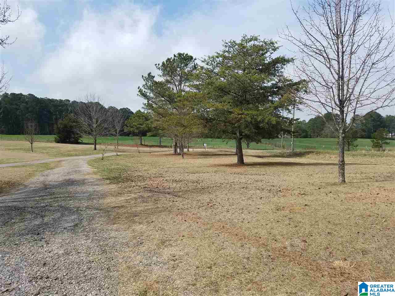 123 Kathy Lane Remlap, AL 35133 - Photo 1 of 25