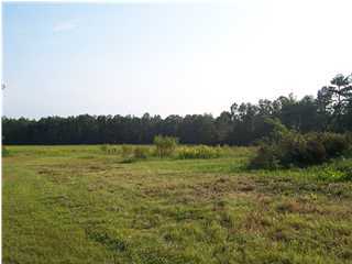 Xx Shockley Springs Road Baker, FL 32531 - Photo 1 of 3 a view of an outdoor space and a yard
