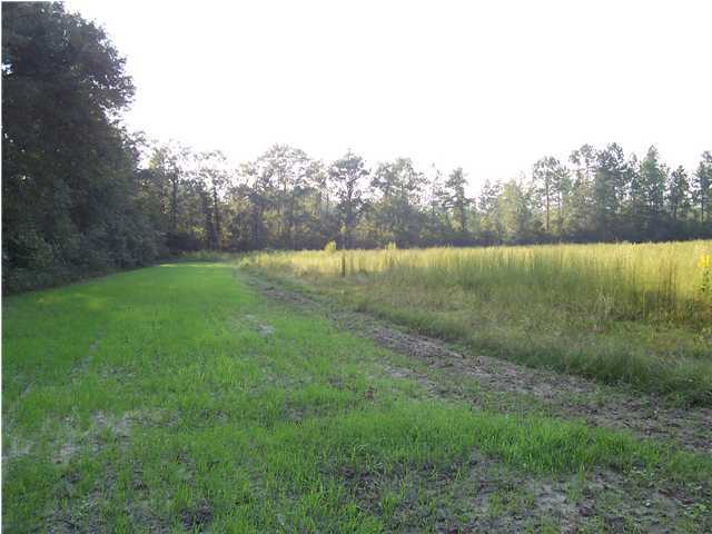 Xx Shockley Springs Road Baker, FL 32531 - Photo 3 of 3 a view of an outdoor space and a yard