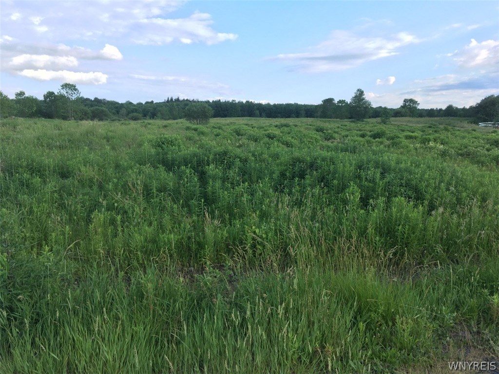 Lot #2 Bullis Road Bennington, NY 14004 - Photo 1 of 1 Gallery Image 1