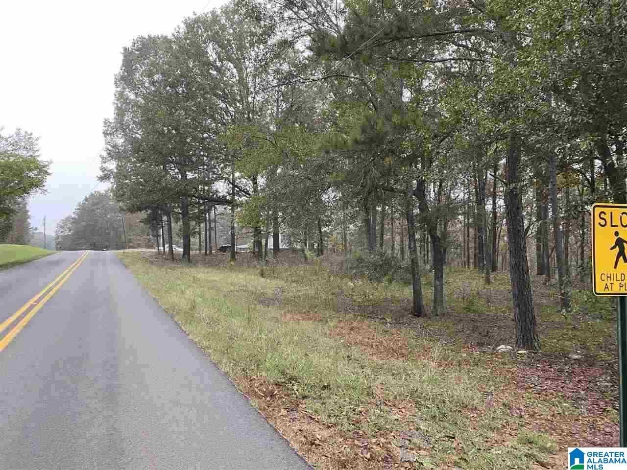 975 Deer Trace Road, Unit 975 Pell City, AL 35125 - Photo 3 of 5