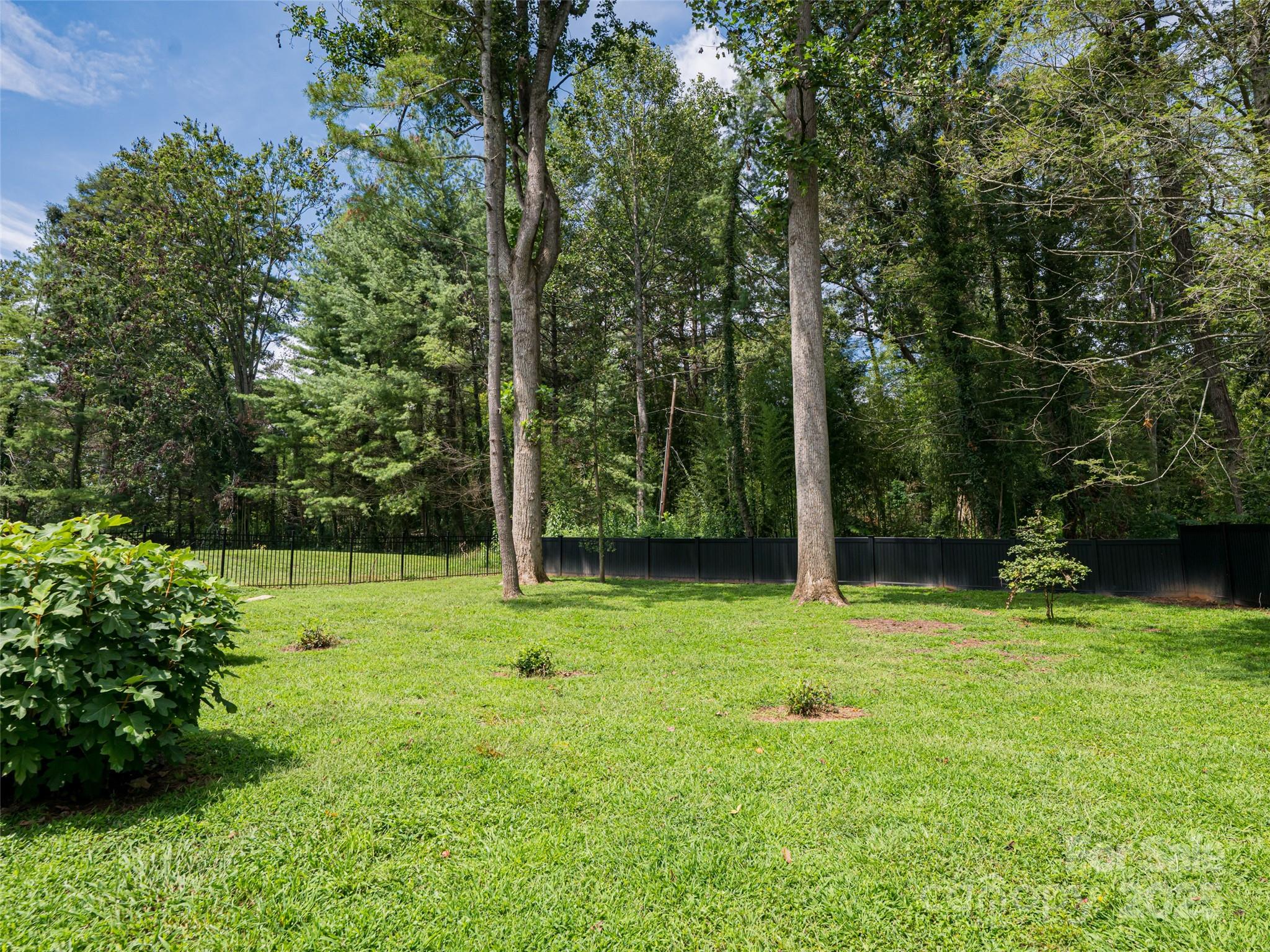 5 Busbee Road Asheville, NC 28803 - Photo 43 of 48 a backyard of a house with lots of green space