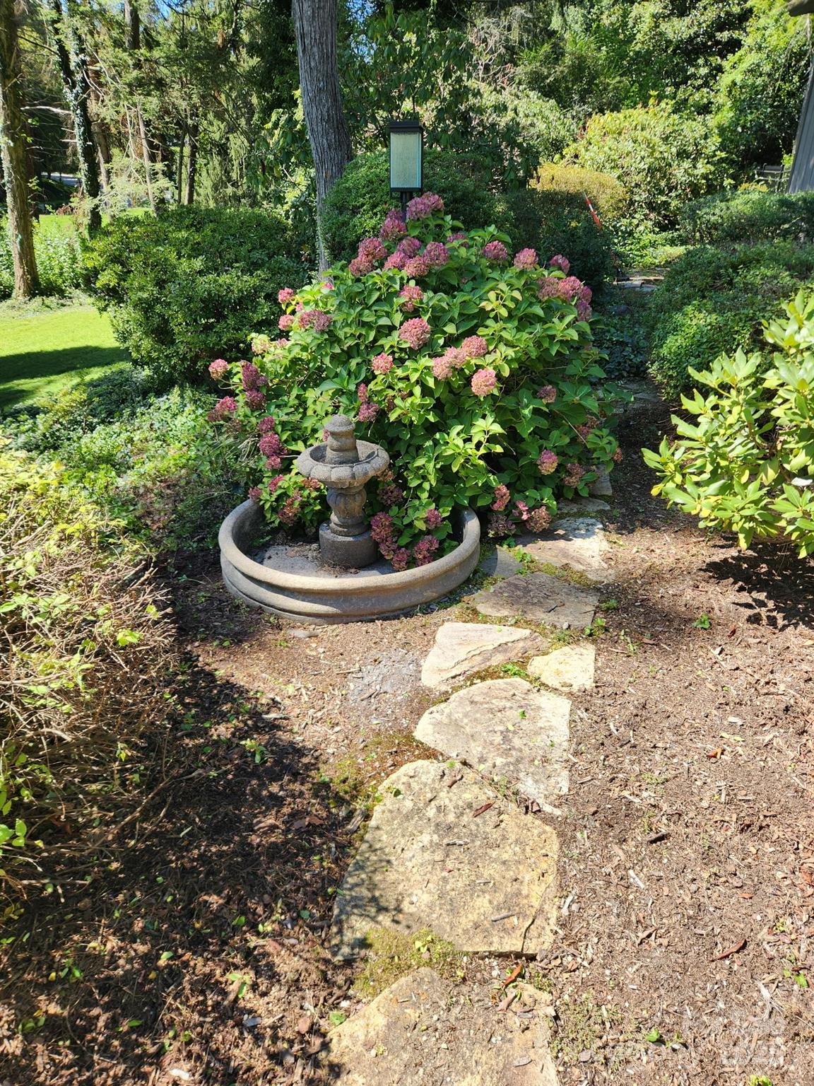 5 Busbee Road Asheville, NC 28803 - Photo 45 of 48 a view of a garden with plants