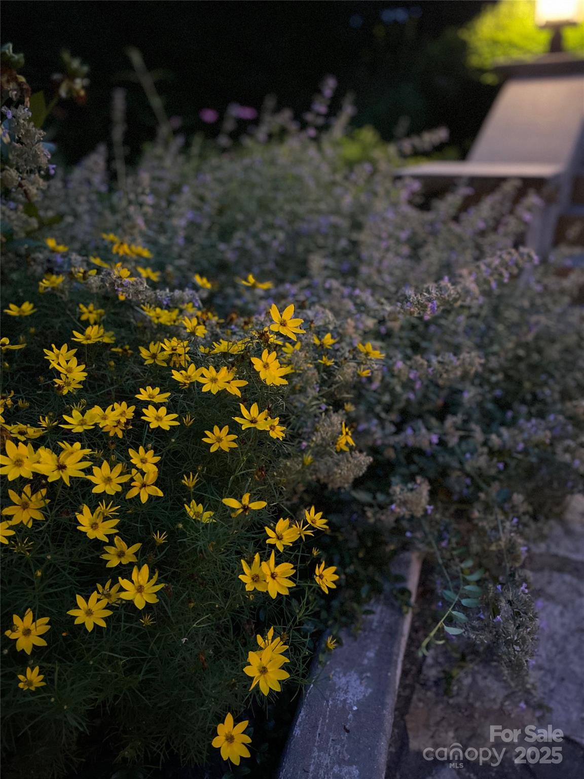 5 Busbee Road Asheville, NC 28803 - Photo 47 of 48