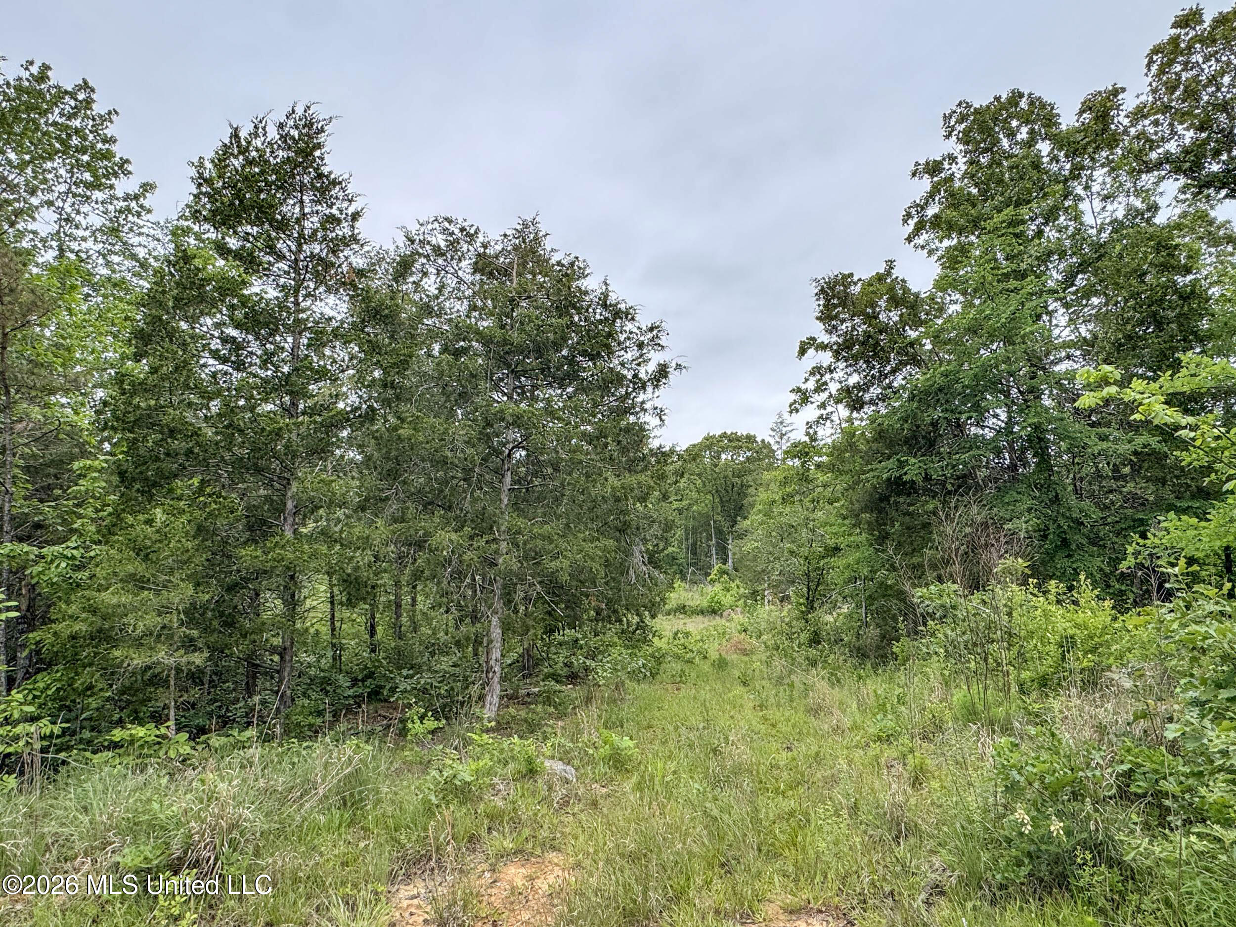 Wayne Massie Road Como, MS 38619 - Photo 84 of 184 5cdtbs10