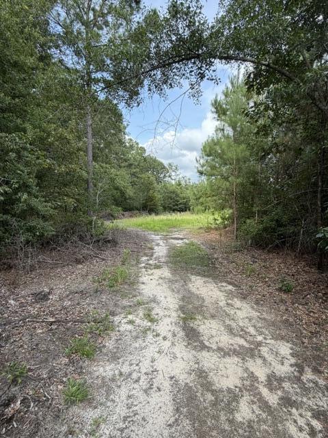 3649 Cox Road Sumter, SC 29154 - Photo 42 of 43 IMG_0249