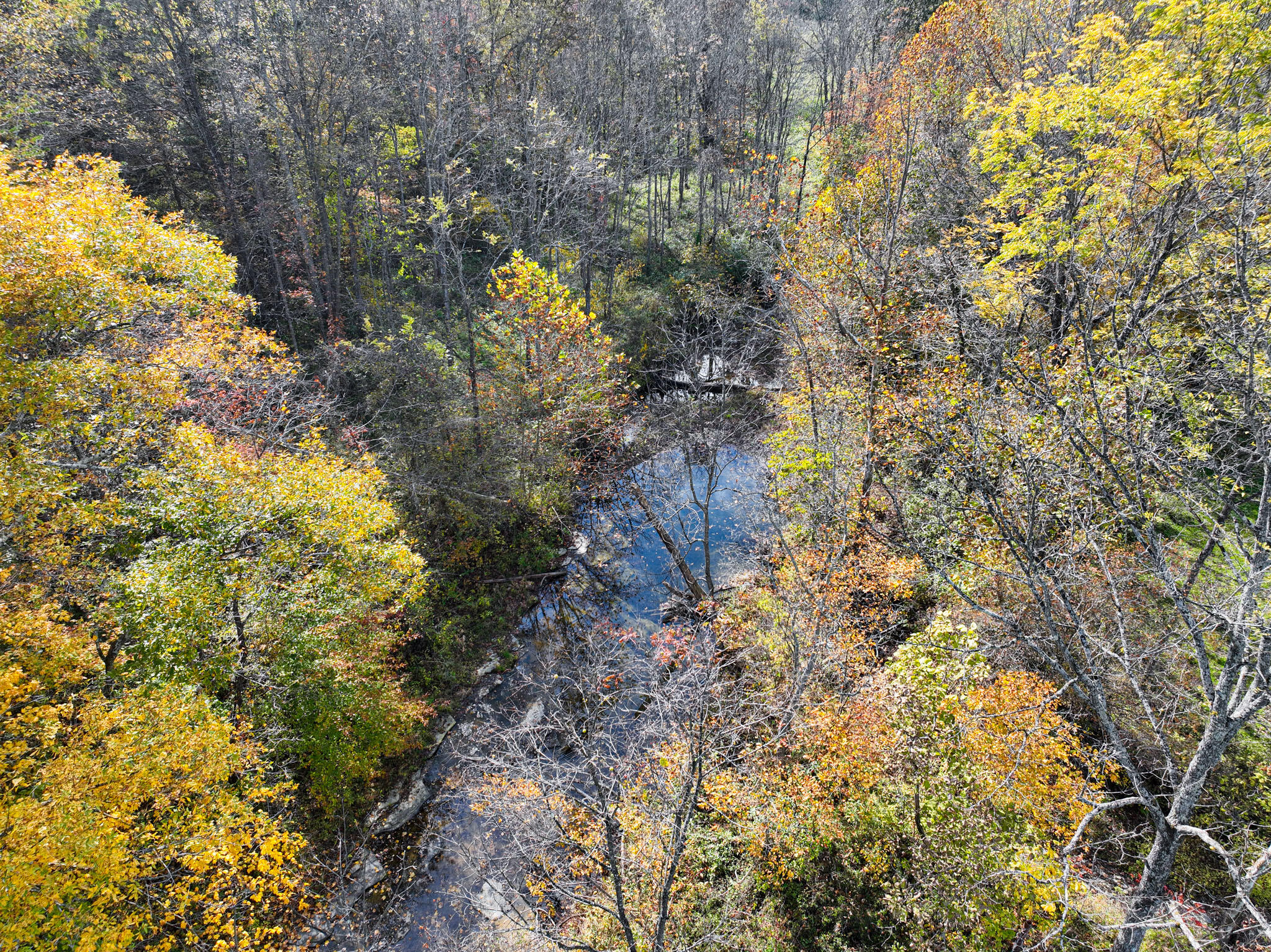 965 Turkey Creek Road Windsor, KY 42565 - Photo 58 of 65 CaseyCounty-008