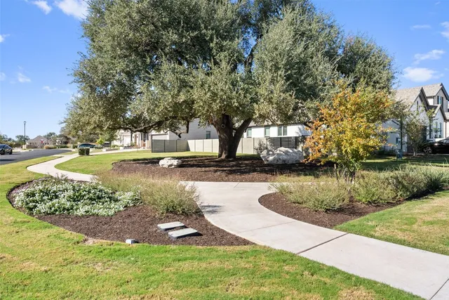 a view of a yard with large trees