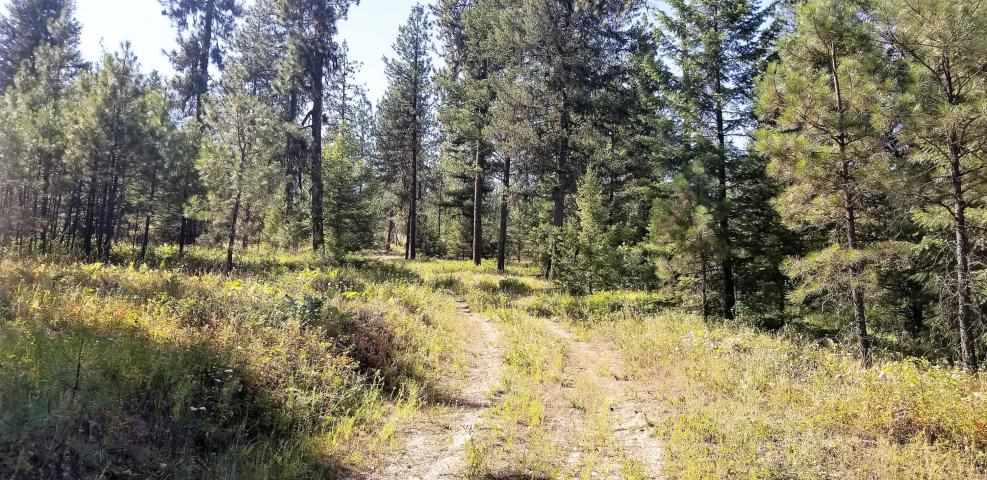 Tbd Silver Creek Road Keller, WA 99140 - Photo 2 of 7 Gallery Image 2